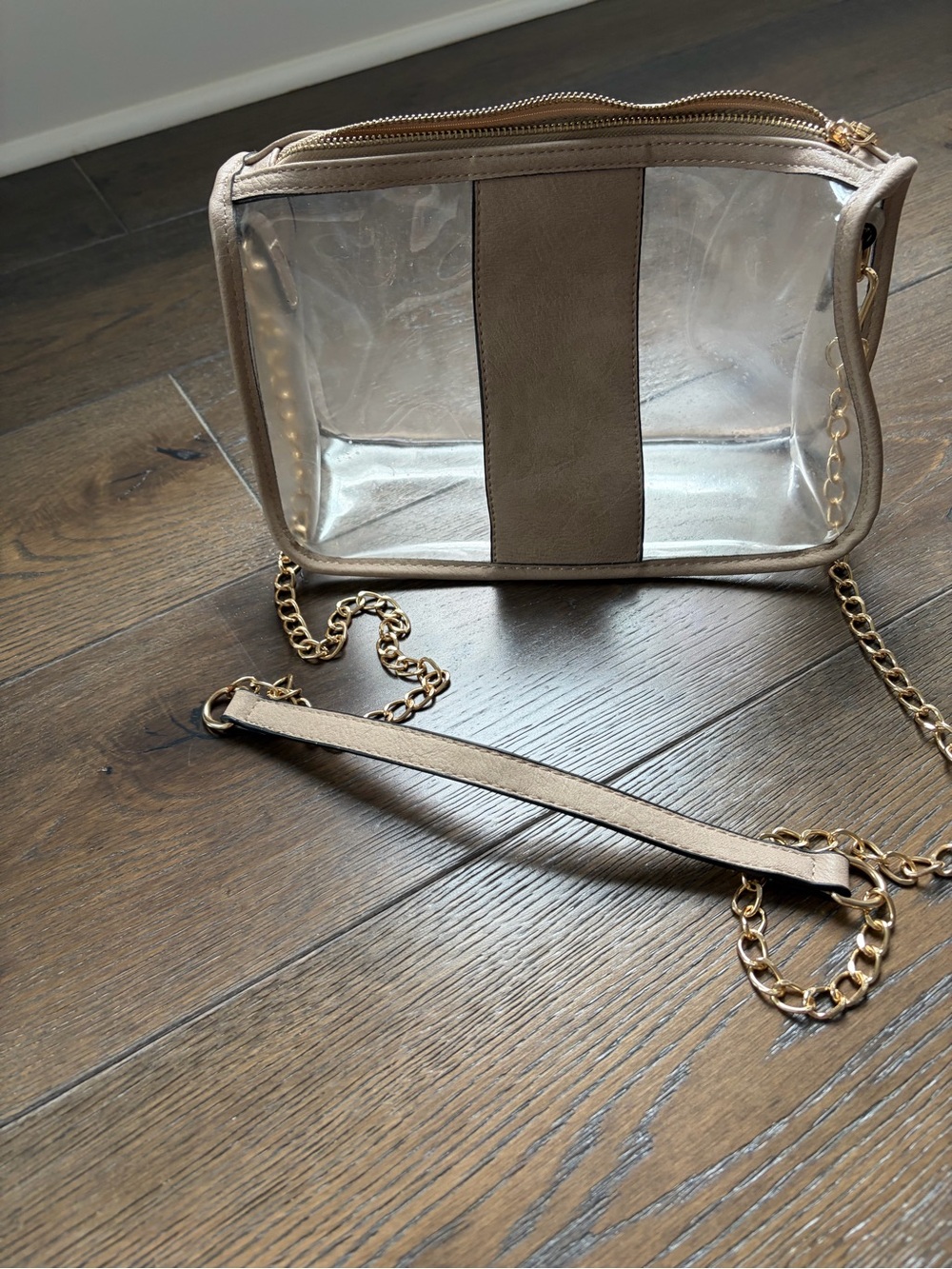 Clear Crossbody Bag with Taupe Trim and Gold Chain